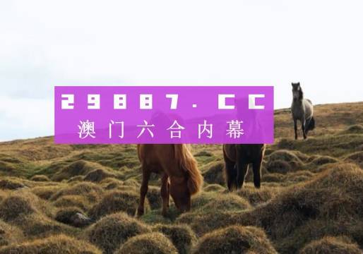 2043年新澳门开奖结果查询指南，全面解析与答案大全澳门2020开奖结果 开奖记录148期开什么