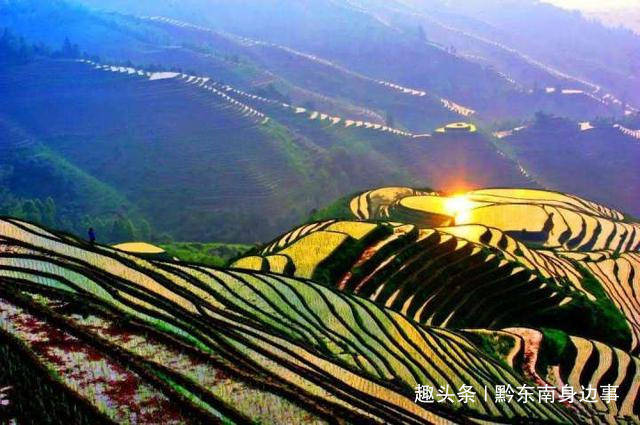探索新澳门彩，最新开奖记录表查询与下载安装指南新澳门开奖直播
