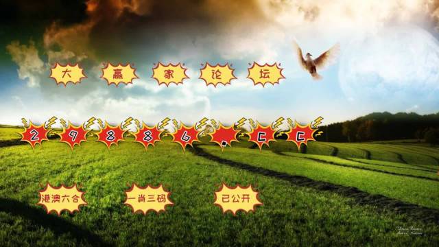 澳门2043年新开奖系统，探索数字娱乐的未来澳门开奖4238开奖记录